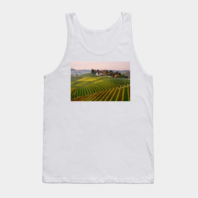 Autumnal vineyards Tank Top by annalisa56